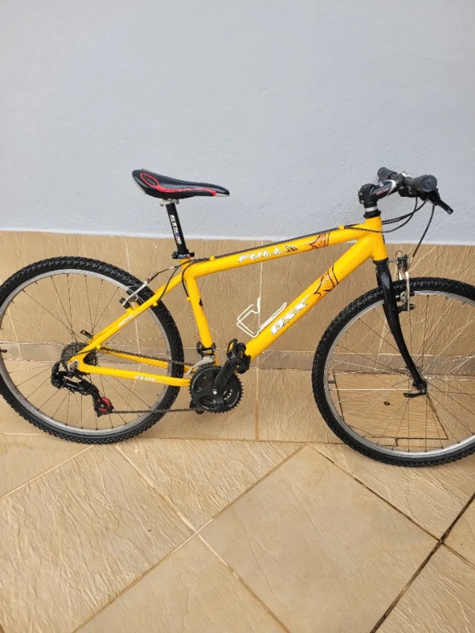 Bicicleta 
