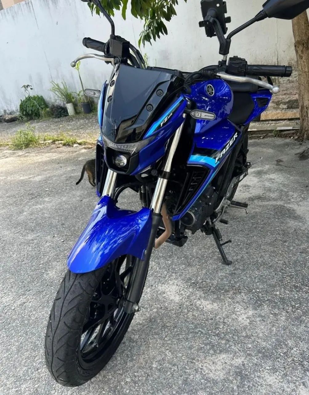 FZ 2050