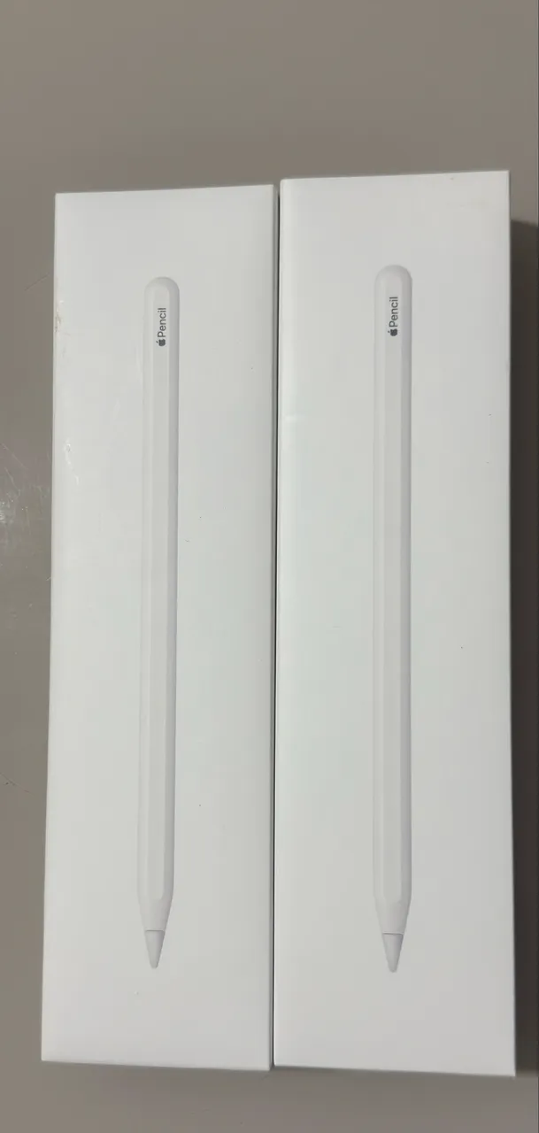 Apple Pencil USB-C LACRADA 1 Ano de Garantia Apple - Tablets e E