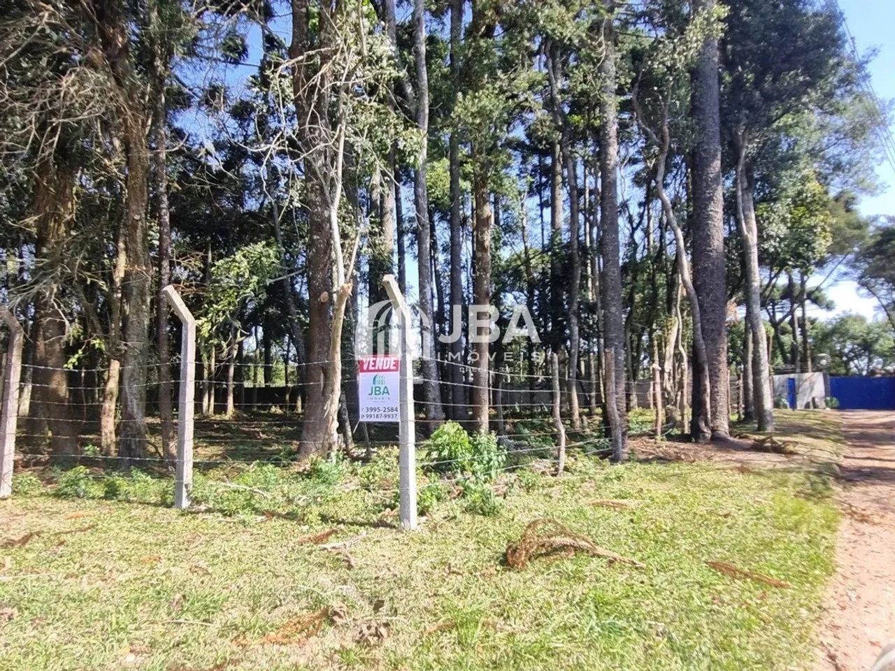 ÁREA VERDE PLANA COM FÁCIL ACESSO, OPORTUNIDADE! - Foto 2