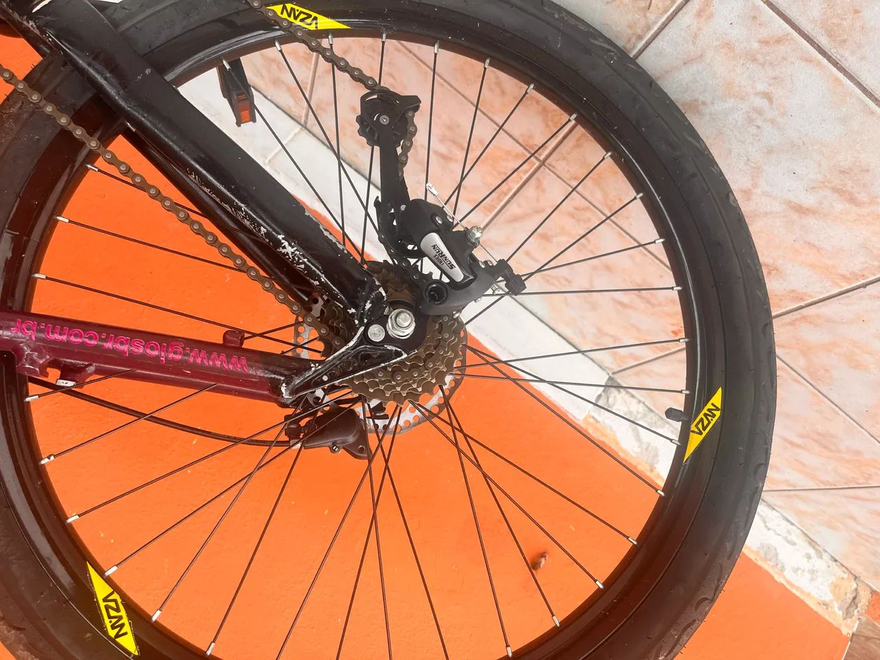 Gios roxa rara - Foto 4