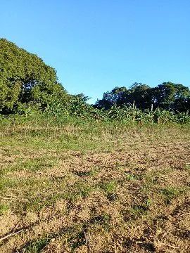 SÍTIO - JACERUBA - RJ - Foto 2