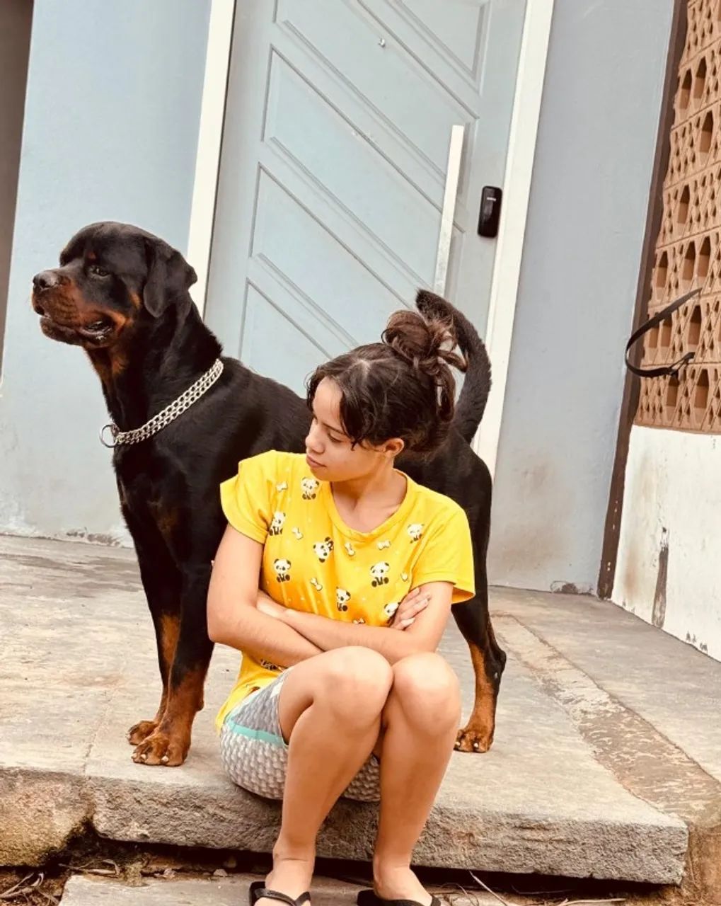 ADOÇÃO RESPONSÁVEL - GOHAN - Foto 4