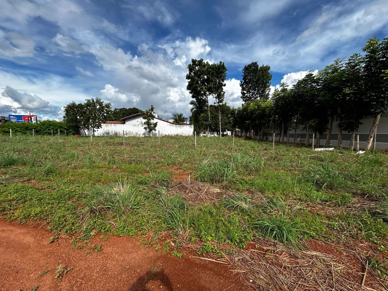 Lote lindeiro na 208 norte o último da região a venda 