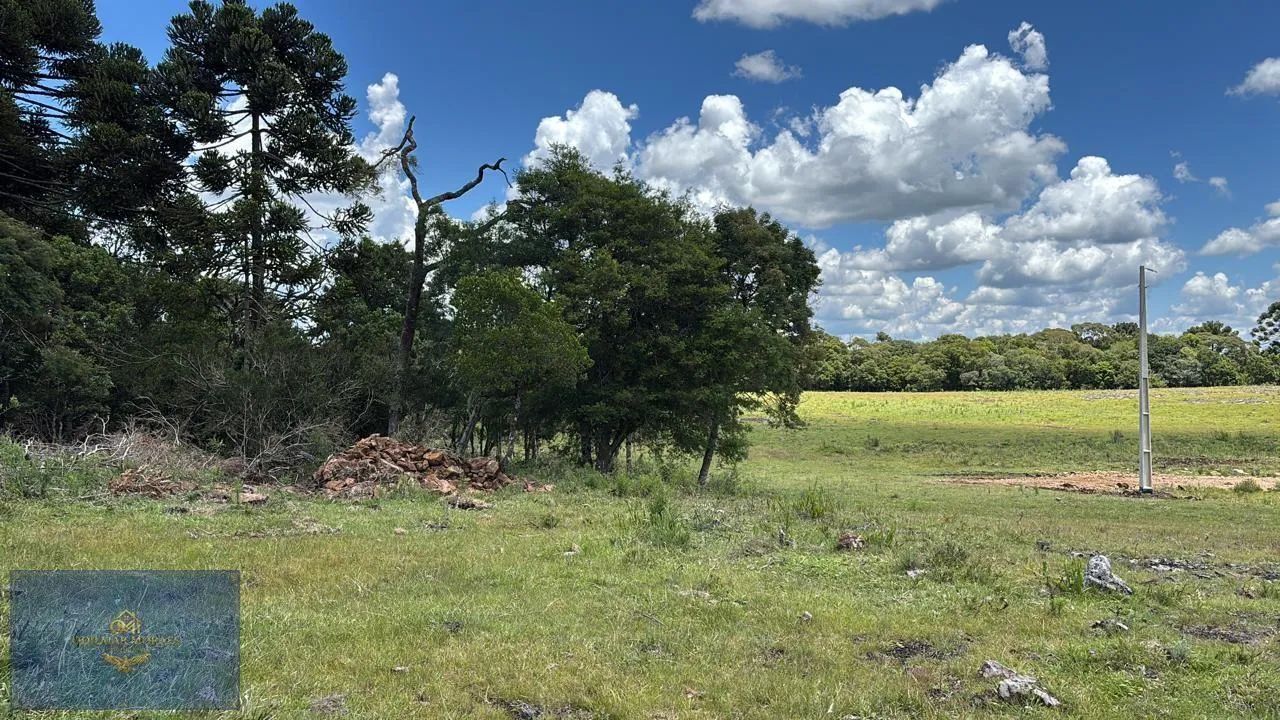 Área para Venda em Urubici, Jararaca - Foto 3