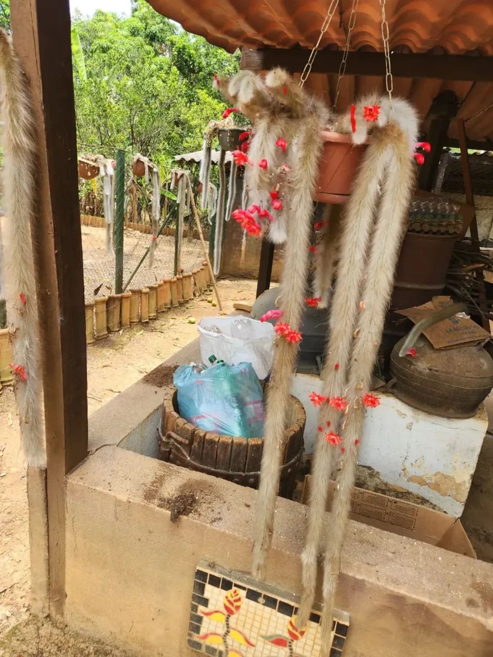 Imóvel para venda com 300 metros quadrados com 3 quartos em Centro - Caetanópolis - MG - Foto 3