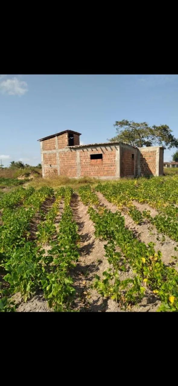 Terreno medindo 1500m2 com uma casa toda de lage  - Foto 2