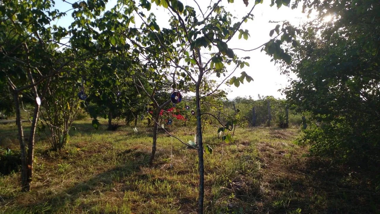 Sítio Santa Fé - Foto 3