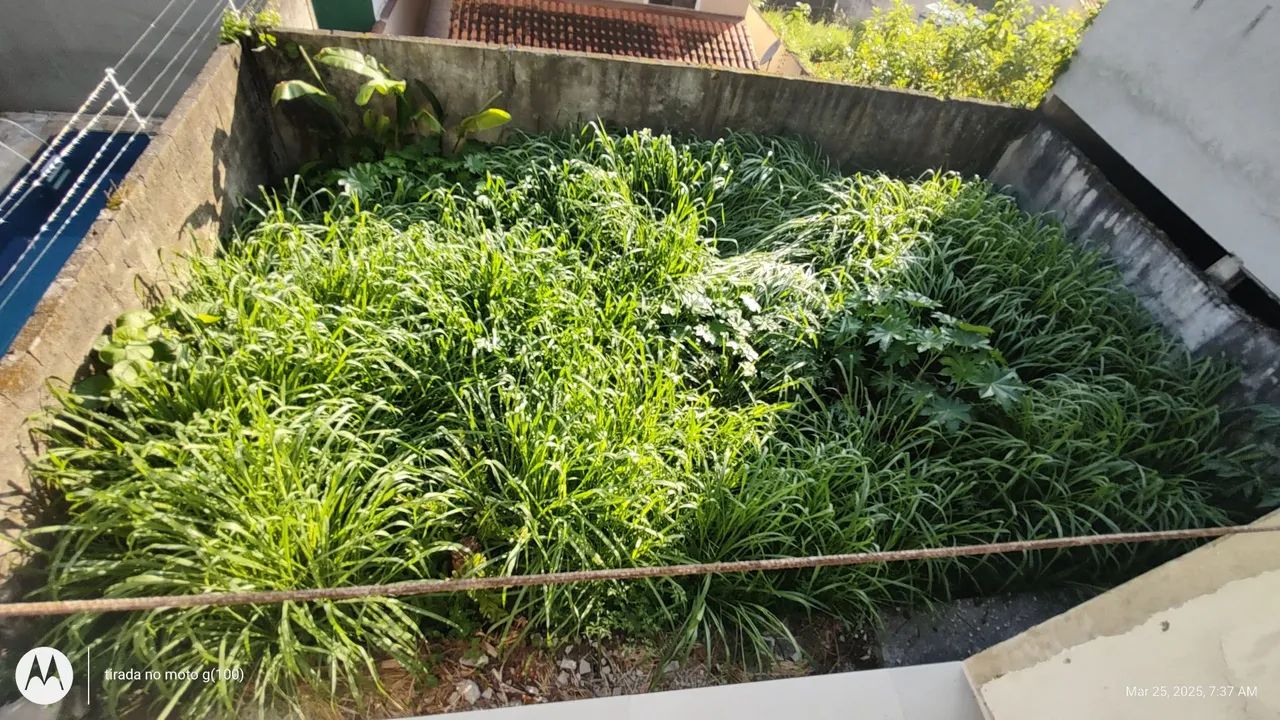 Jardineiro  - Foto 4