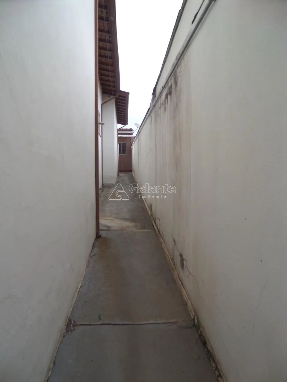 casa - Jardim Nova Europa - Campinas - Foto 4