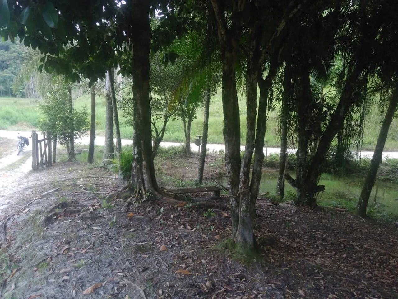 Vendo Sítio com 12 alqueires em Sete Barras SP - Foto 5