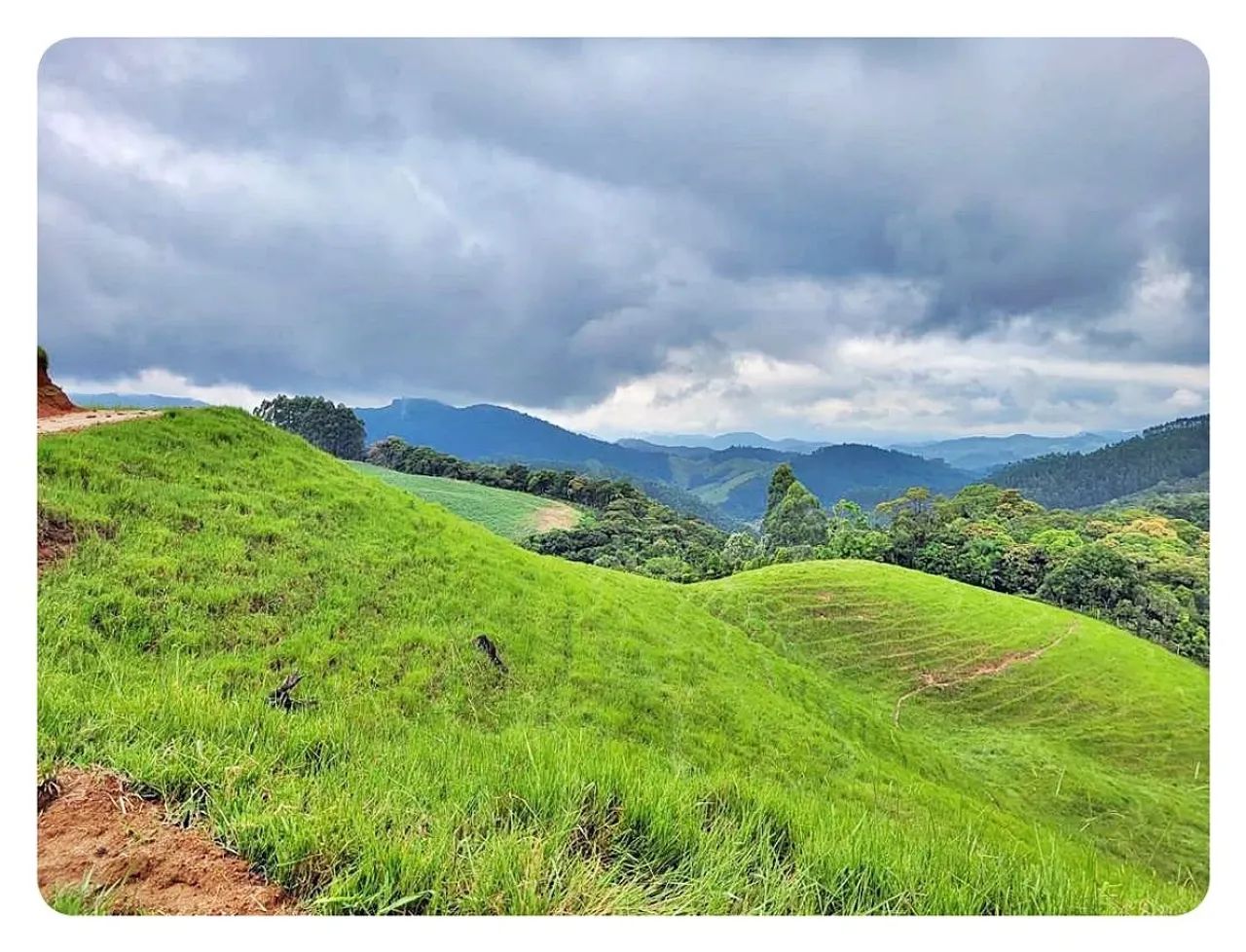 Terreno Rural à venda, 236000 m² em São Bonifácio/SC - Foto 4