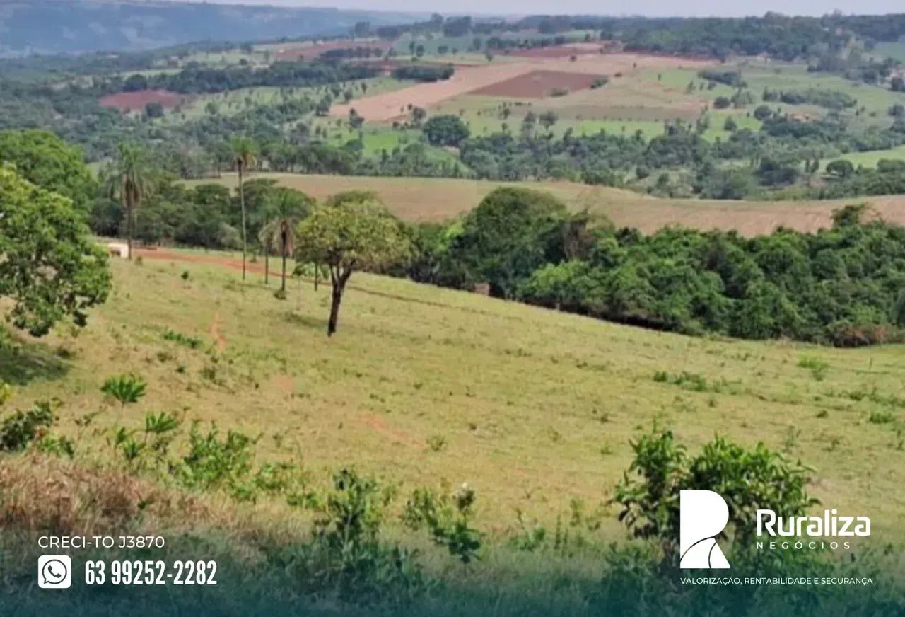 FAZENDA 49 ALQUEIRES | LAVOURA + PASTAGEM - Foto 2