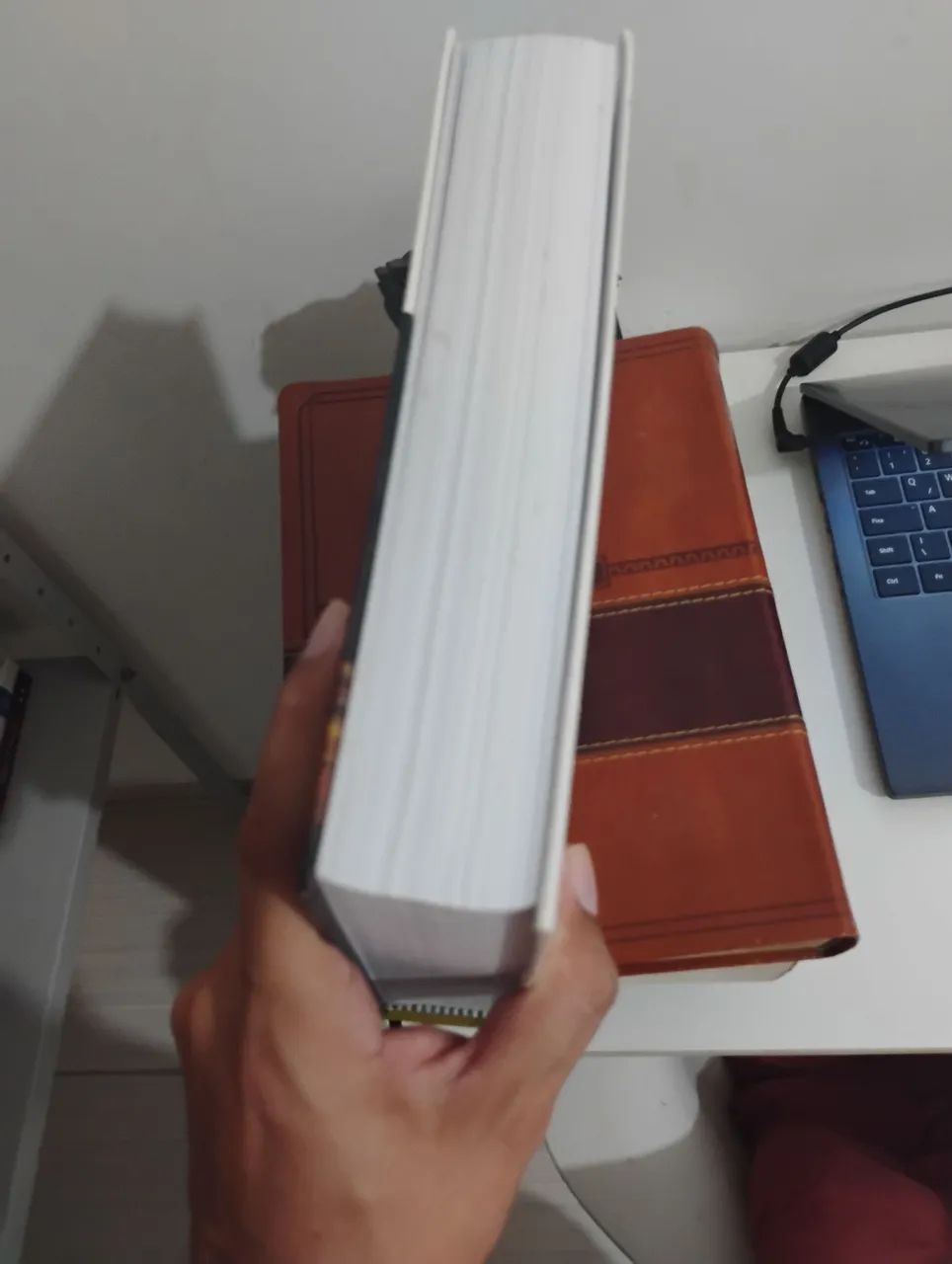 INTRODUÇÃO GERAL A BÍBLIA  - Foto 3