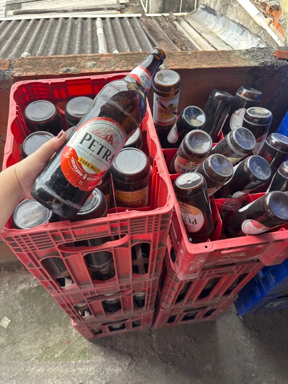 Lote engradado de cerveja  - Foto 3