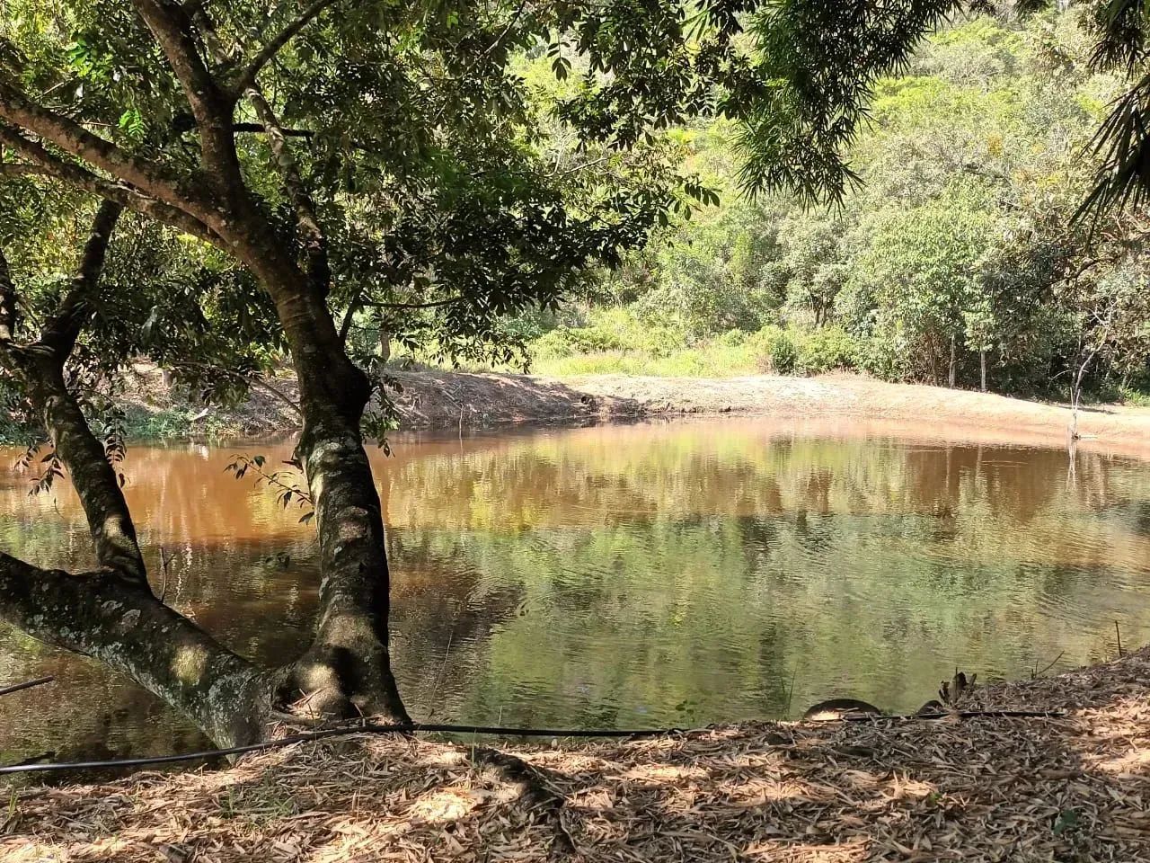 Fazenda/Sítio/Chácara para venda possui 170 metros quadrados com 3 quartos - Foto 12