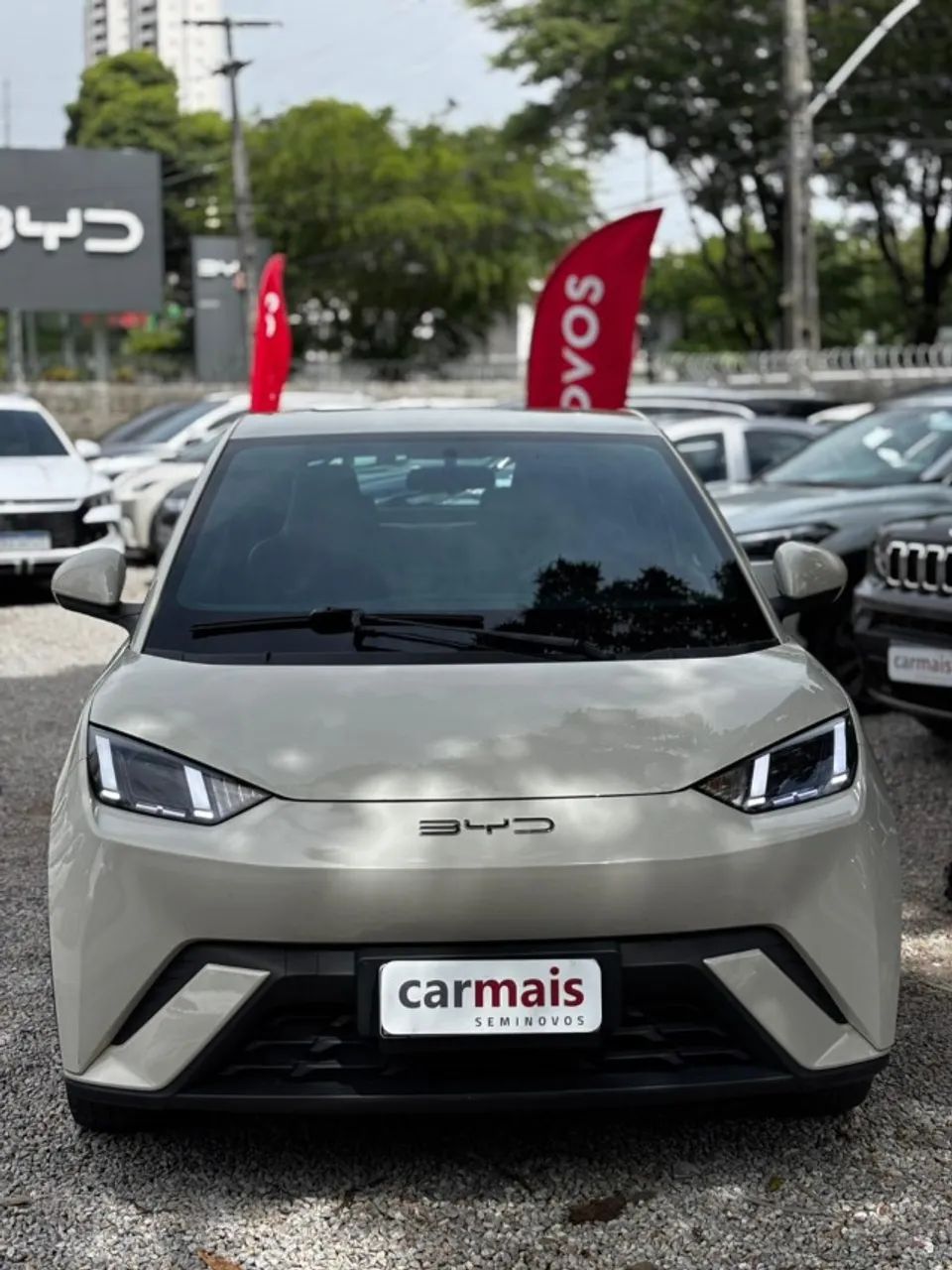 BYD Dolphin Mini (Elétrico) 2025