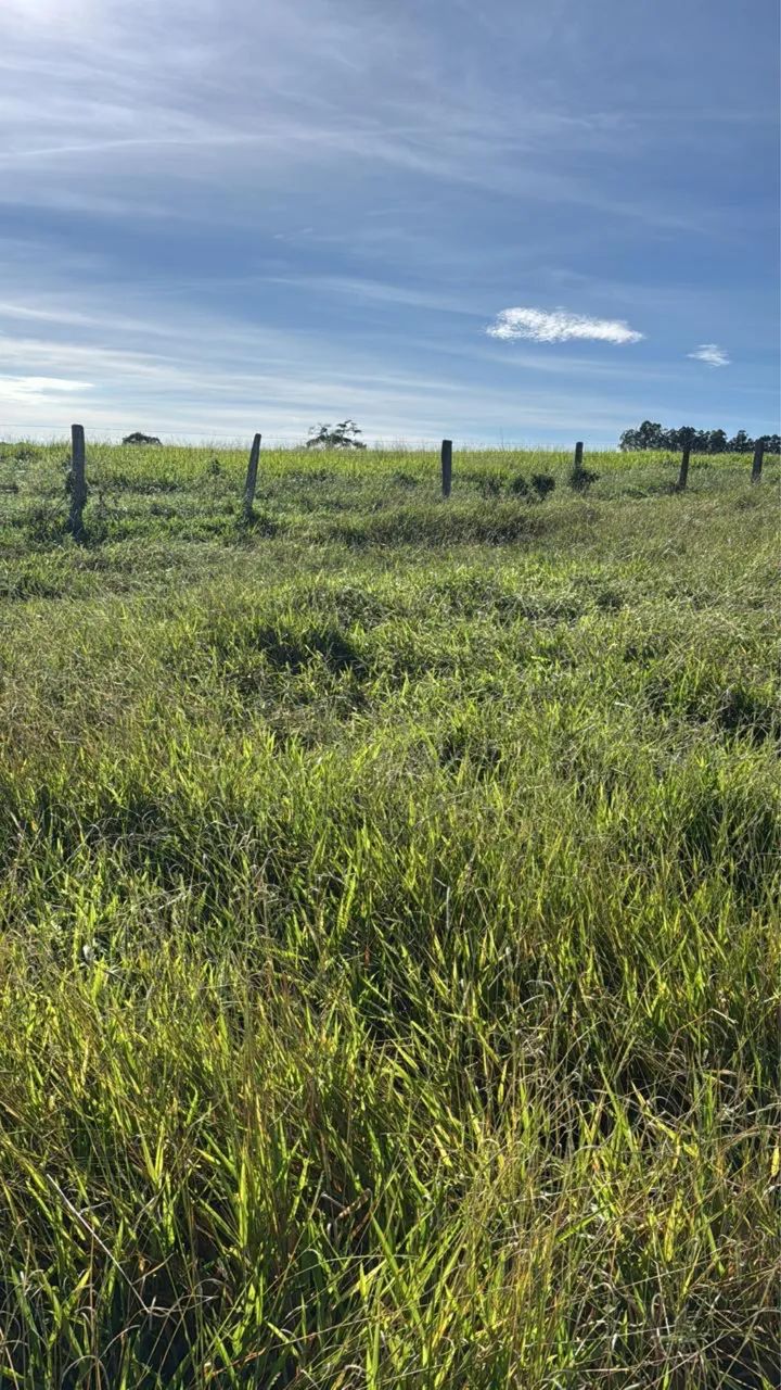 Fazenda em Itauçu GO - Foto 3