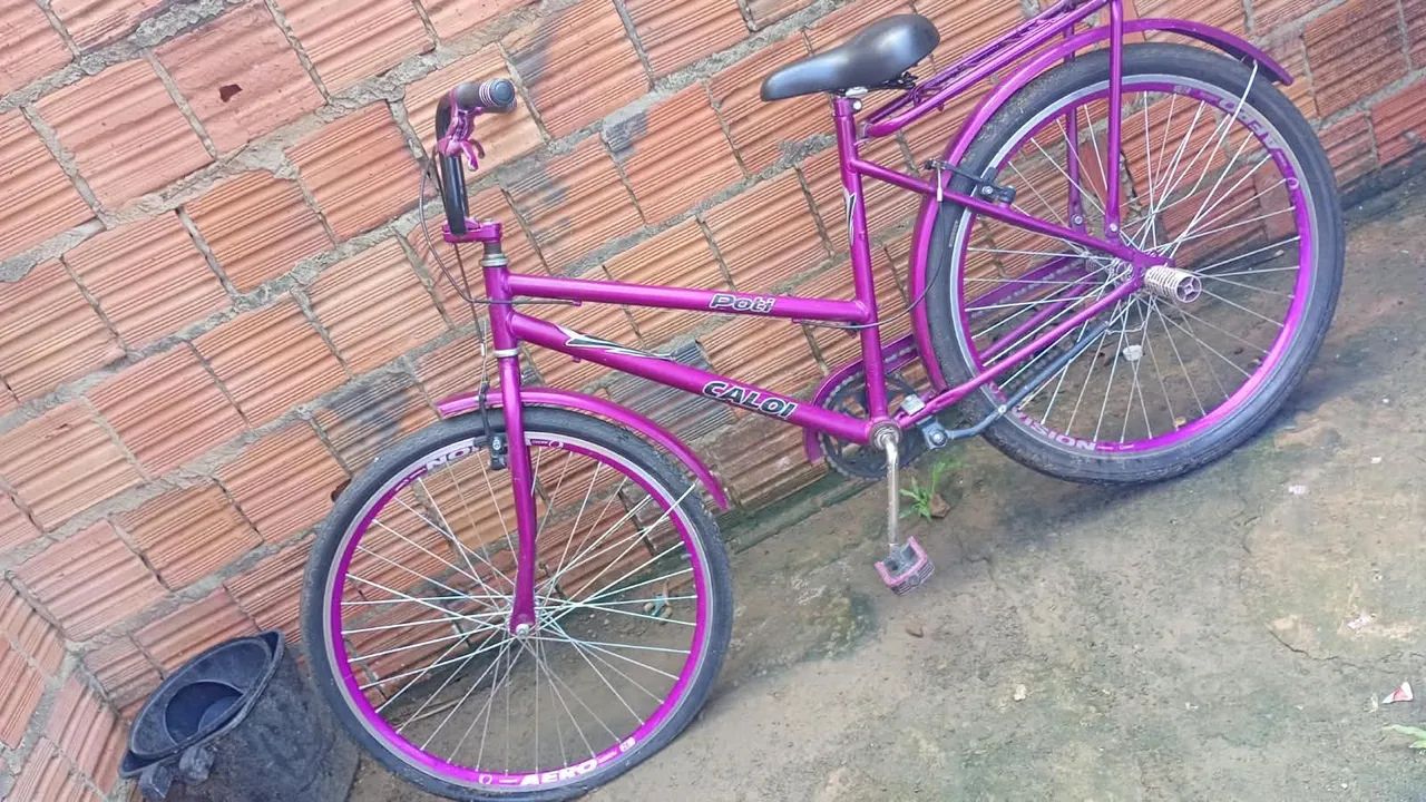 Bicicleta Poty Calloi - Foto 2