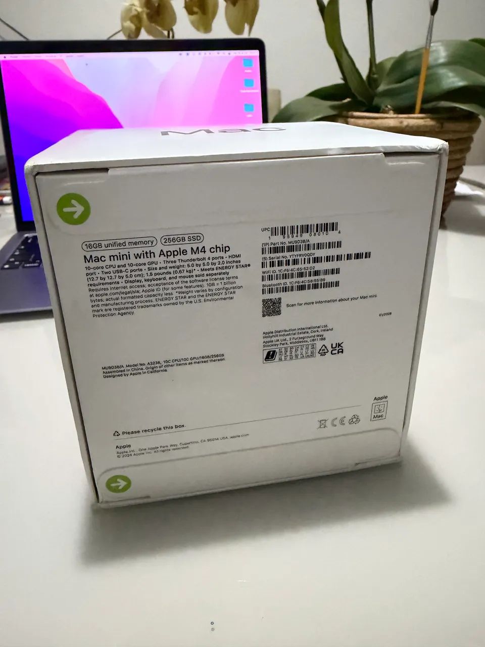 Apple Mac Mini M4 16GB RAM 256GB SSD - Foto 2