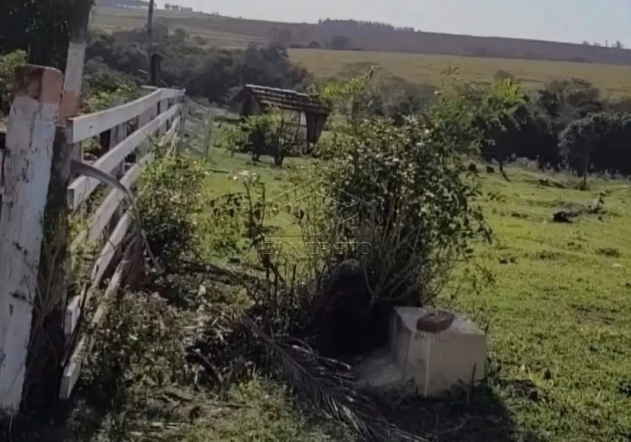 Rural Sitio em Adamantina - Foto 3