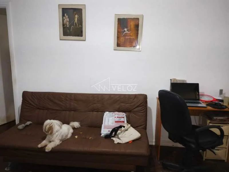 Apartamento - / Residencial / Centro - Foto 3