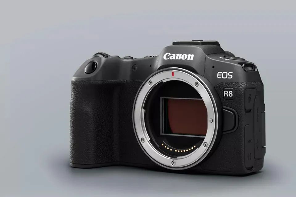 Canon R8 