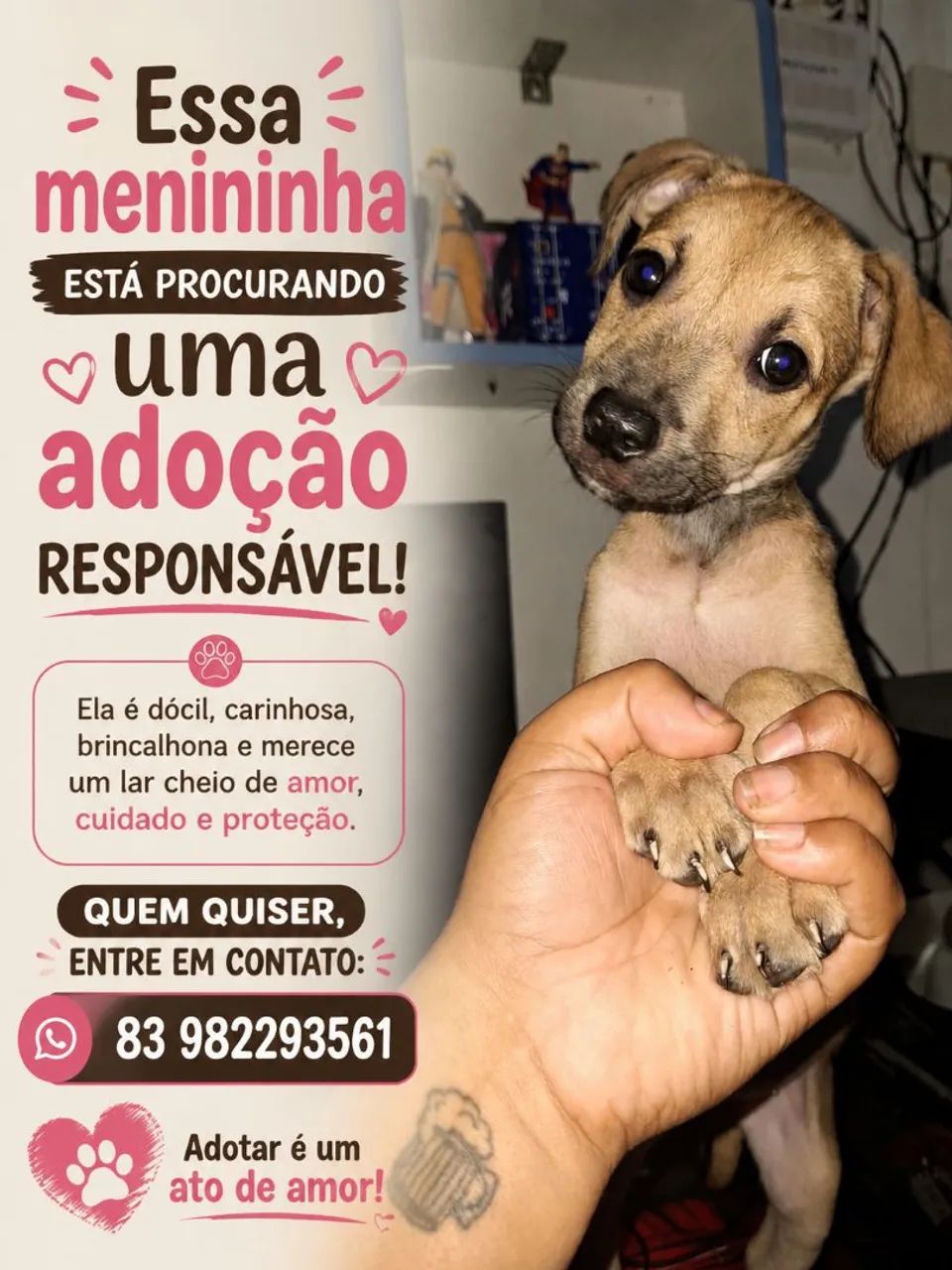 Adoção responsável 
