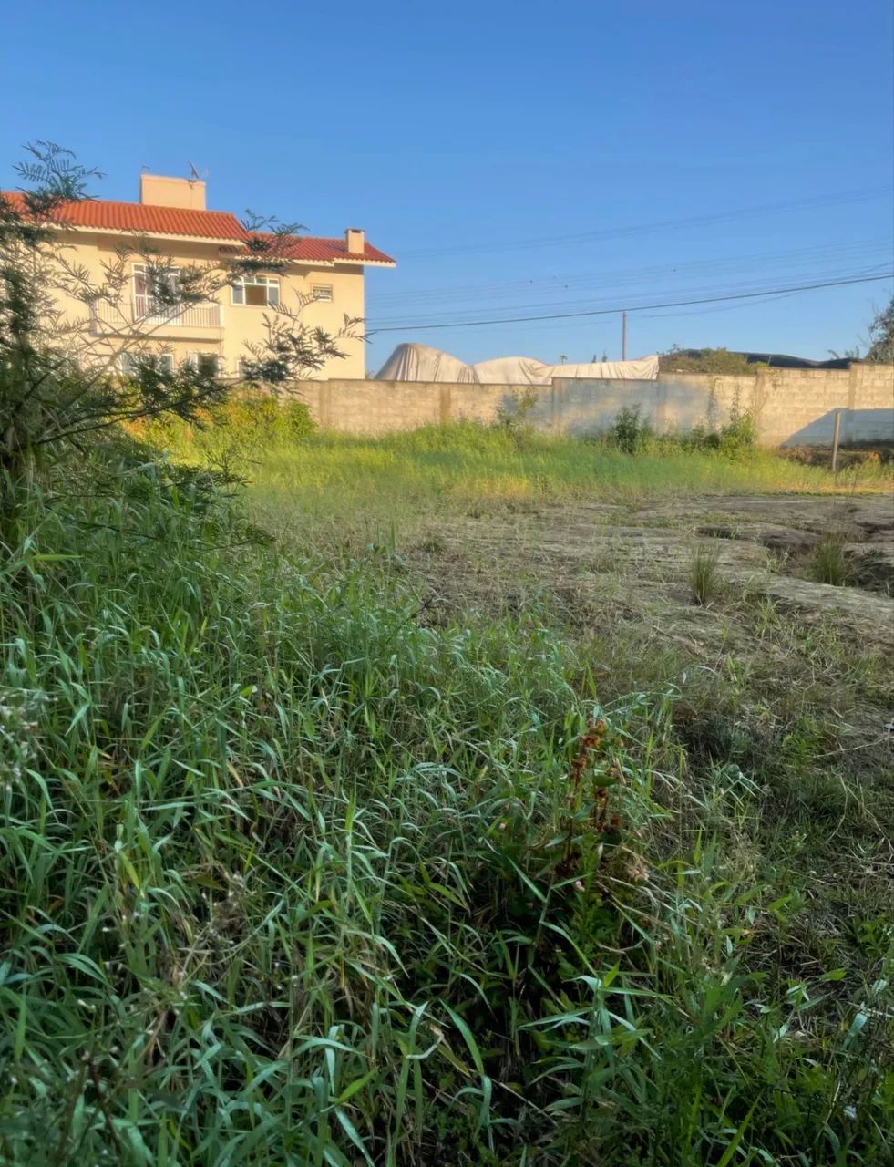 Terreno em Santo Amaro da Imperatriz  - Foto 5