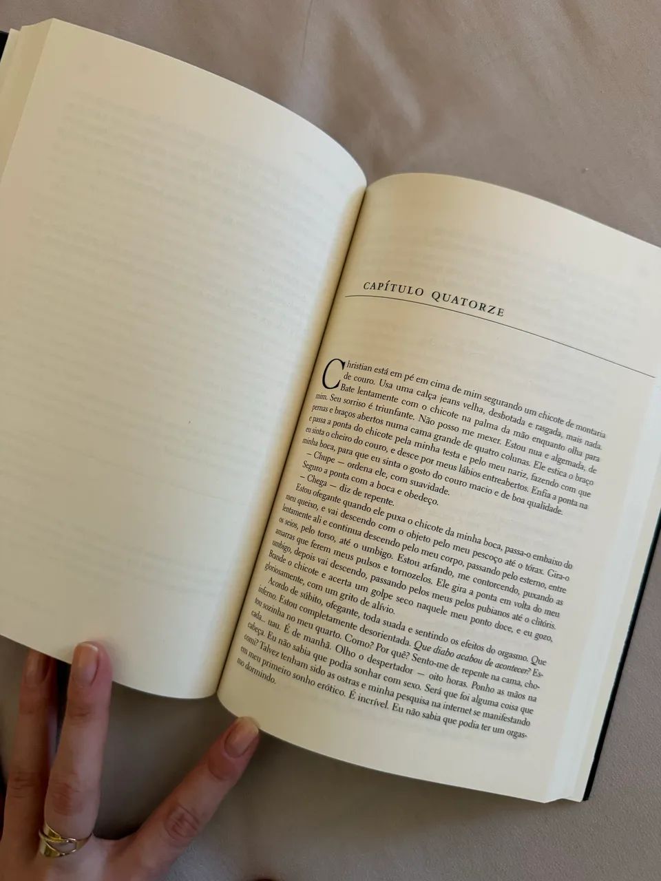 Cinquenta tons de cinza (livro I) - Foto 3