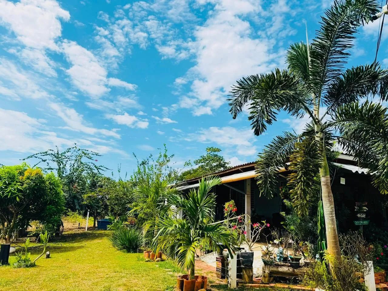 Chácara um paraíso  - Foto 11