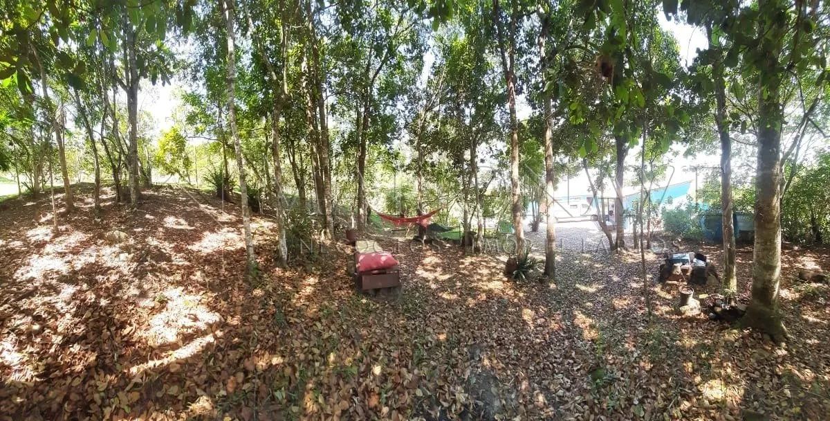 Sítio com 12.100m2 com casa 3 quartos (ste), Vargem Pequena, Florianópolis, SC. - Foto 3