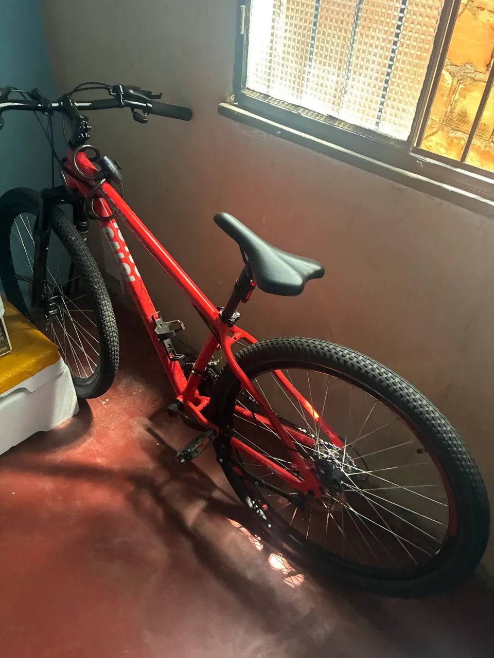 Bicicleta 