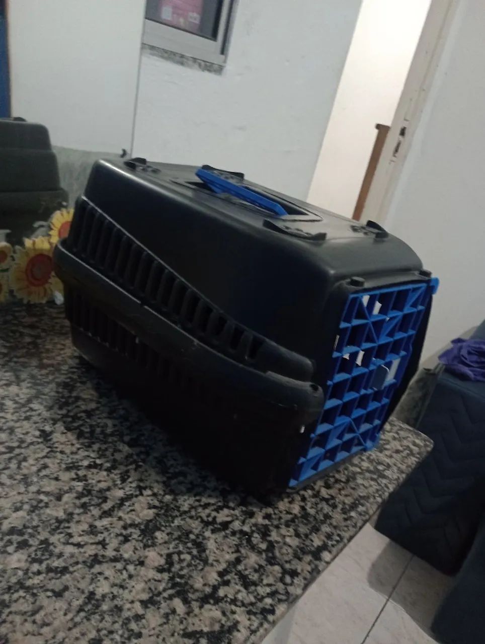 Caixa de transporte 