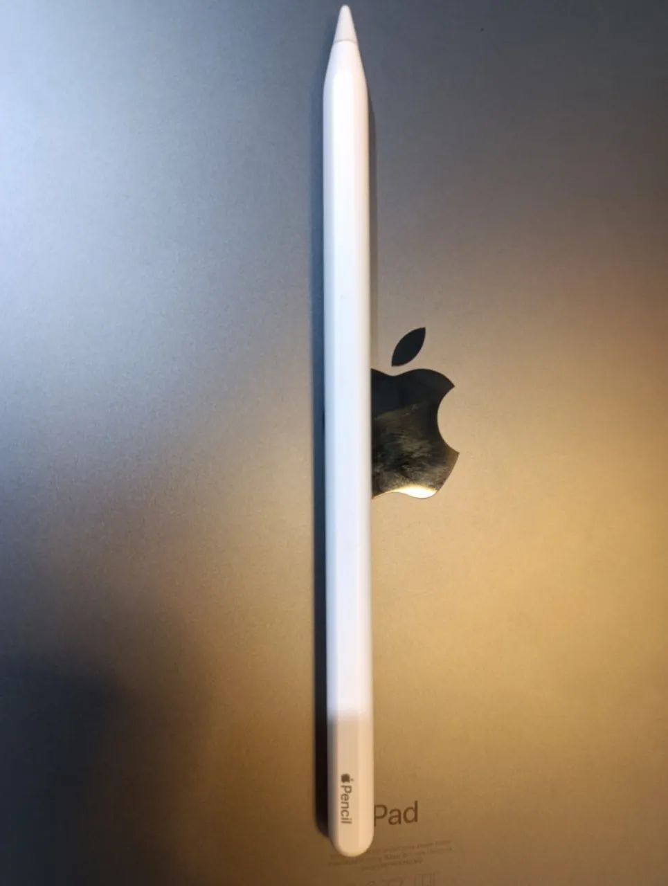 Apple Pencil 2ª Geração Original A2051 para iPad - Tablets e E