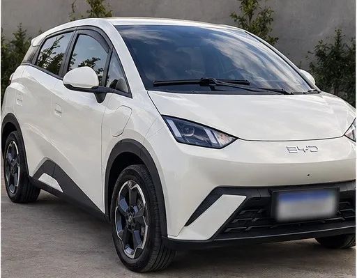 BYD Dolphin Mini (Elétrico) 2024 - Foto 3