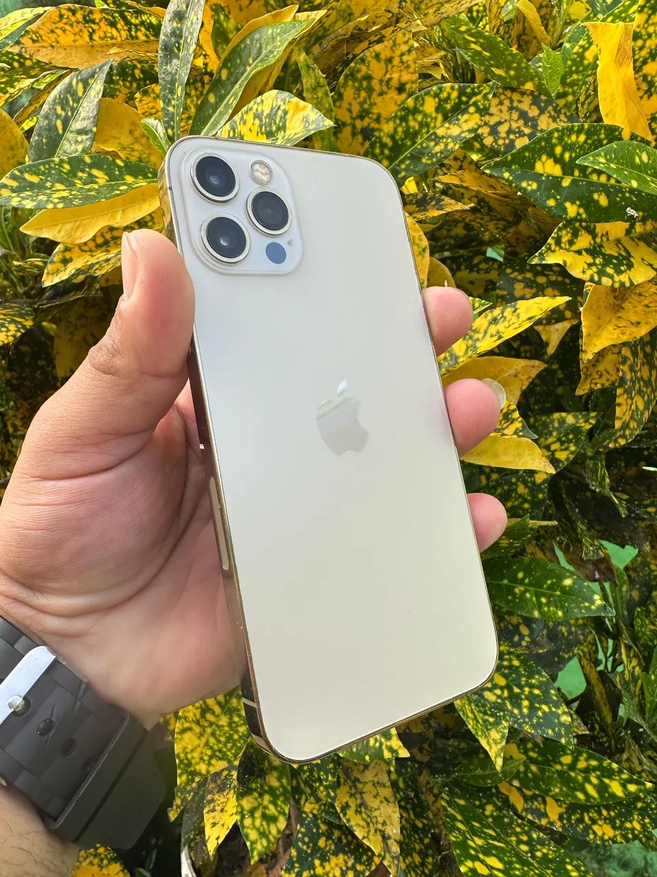iPhone 12 Pro 128gb - Celulares e Smartphones - Horto, Maracanaú