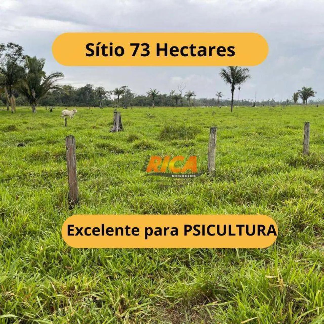 Sítio à venda Porto Velho/RO - Foto 2
