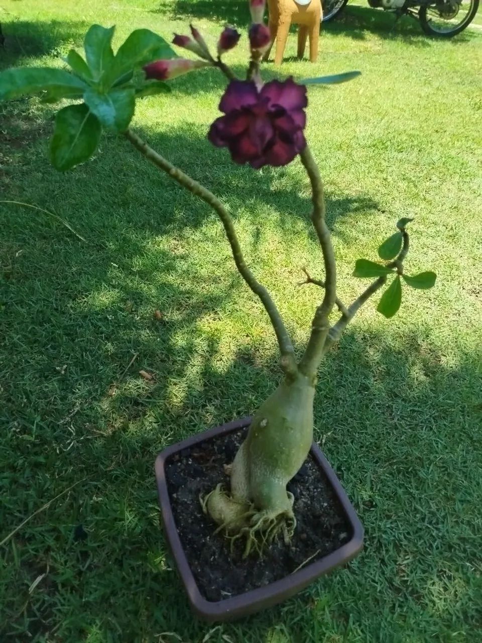 Vendo  - Foto 2