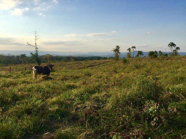 Linda Chácara a venda nesse Recanto em meio a Natureza - Escriturada - Foto 6