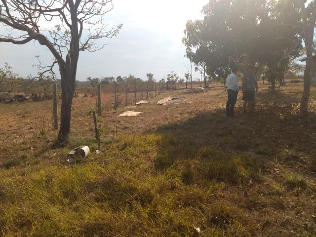 Chacara a 6km do trevo do largato sentido jangada - Foto 16