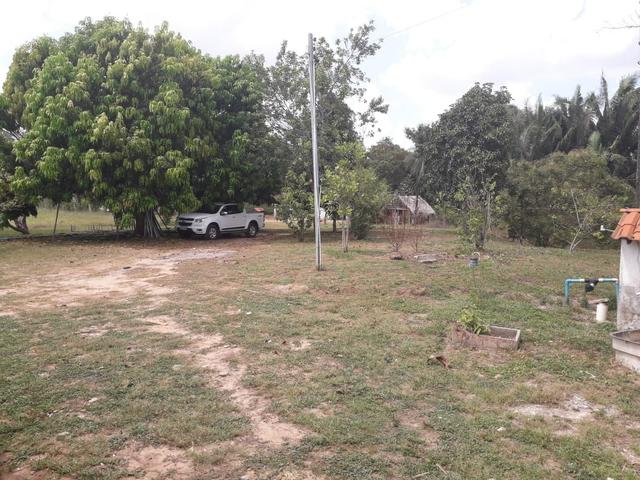 Fazenda em Santa Rita parcelada e sem juros!!! - Foto 5