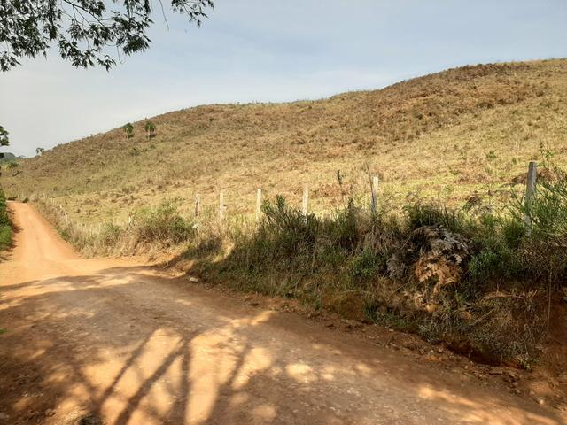 Chácara de 23.5 Alqueires com 22.5 alqueires de pasto - Faxinal do Céu. Pinhão- PR - Foto 4
