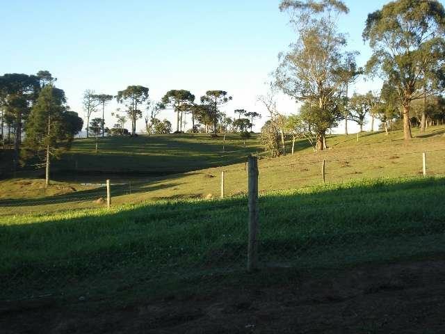 Maravilhoso Sítio - 10 hectares - Lages