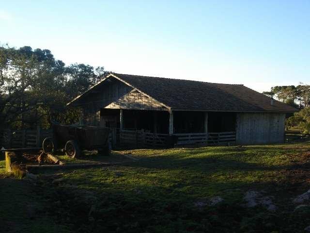Maravilhoso Sítio - 10 hectares - Lages - Foto 7