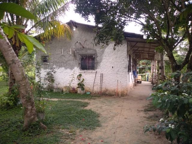 R$ 150 mil reais sitio com 3 hectares , escriturado a 23 km de Castanhal - Foto 20