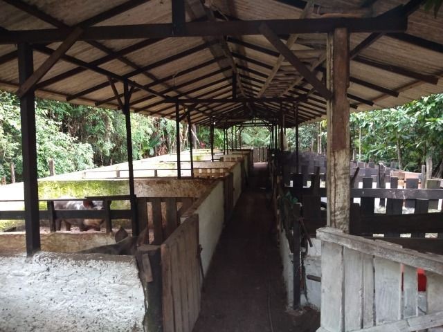 R$ 150 mil reais sitio com 3 hectares , escriturado a 23 km de Castanhal - Foto 15