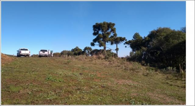 Terreno para Sítio ou casa de campo pousada em Urupema - SC