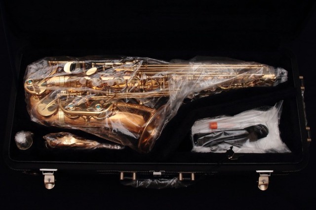 Saxofone Alto Yanagisawa A-WO2 - Foto 2