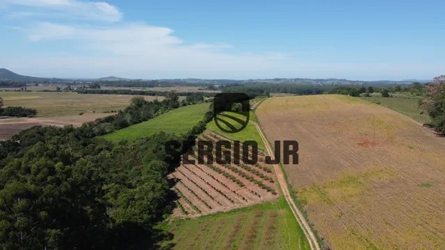Sítio com 7,5h, casa com 3 dormitórios, galpão, açude em Guaíba - Aceito veículo ou casa n - Foto 2